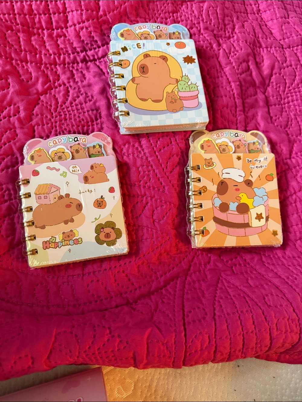 Capybara Mini Spiral Notebooks Set of 3 Kawaii New